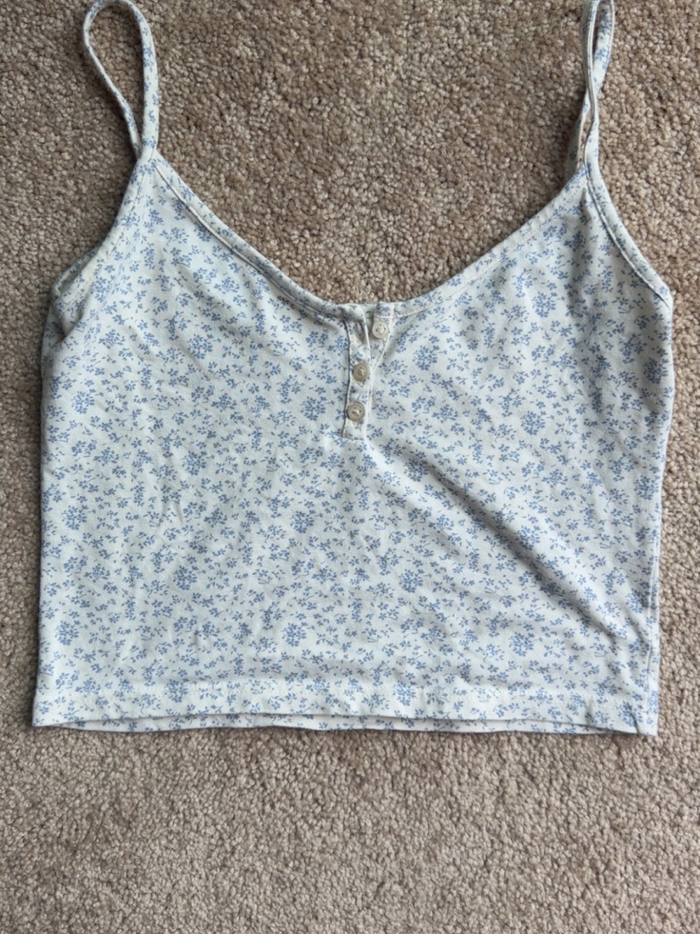 Brandy Melville Cream and Light Blue Floral Cropped Camisole